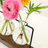 Hydroponic Glass Vase Planter Terrarium Wooden Stand-F603