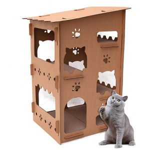 Cat Scratching Cardboard DDG23