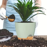 5Pcs Self Watering Planters-4STYLE