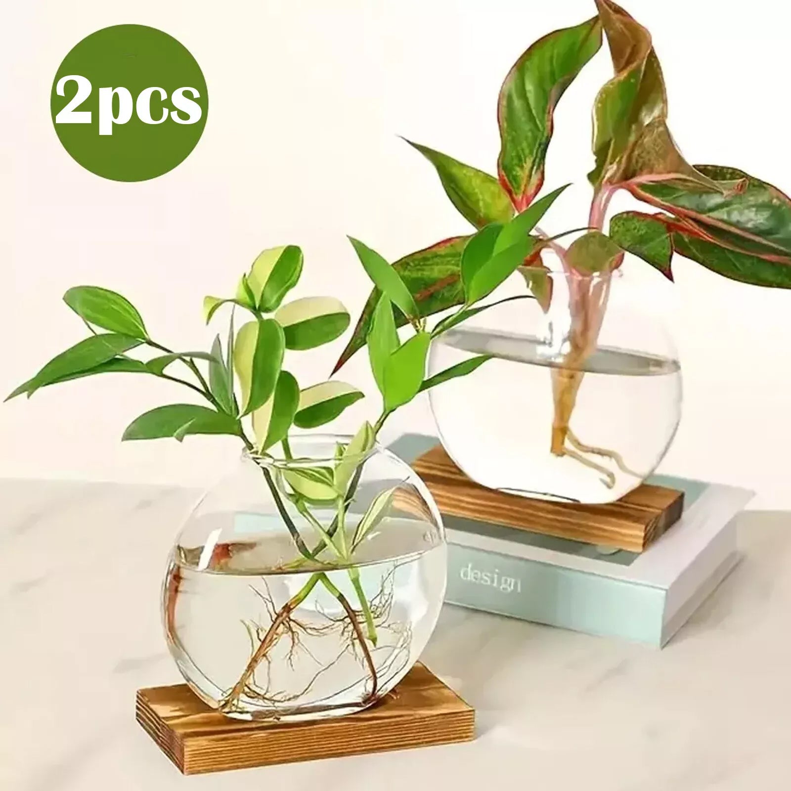 hydroponic glass planter 2pcs/set Hydroponic Glass Vase Planter Terrarium Cake With Wooden Stan – LIKYHOME