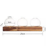 Hydroponic Glass Bulb Vase Planter Terrarium Wooden Stand  - F713