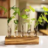 Hydroponic Glass Vase Planter Terrarium Wooden Stand F4005