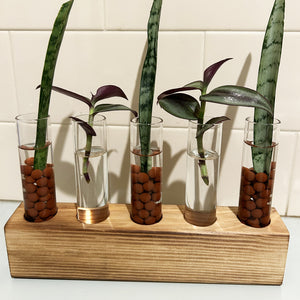 Hydroponic Glass Vase Planter Terrarium Wooden Stand F4005