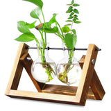 Hydroponic Glass Vase Planter Terrarium Swing Wooden Stand