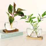 2pcs/set Hydroponic Glass Vase Planter Terrarium Swing Wooden Stand-F800