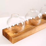 Hydroponic Glass Bulb Vase Planter Terrarium Wooden Stand  - F713