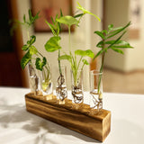 Hydroponic Glass Vase Planter Terrarium Wooden Stand F4005