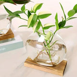 2pcs/set Hydroponic Glass Vase Planter Terrarium Swing Wooden Stand-F800