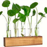 Hydroponic Glass Vase Planter Terrarium Wooden Stand F4005