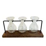 Hydroponic Glass Vase Planter Terrarium Wooden Stand F803