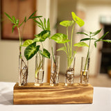 Hydroponic Glass Vase Planter Terrarium Wooden Stand F4005