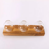 Hydroponic Glass Bulb Vase Planter Terrarium Wooden Stand  - F713