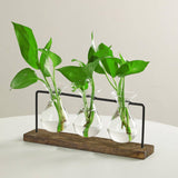 Hydroponic Glass Vase Planter Terrarium Wooden Stand F803