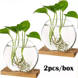 2pcs/set Hydroponic Glass Vase Planter Terrarium Swing Wooden Stand-F800