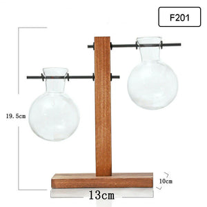 Hydroponic Glass Vase Planter Terrarium Wooden Stand - F201