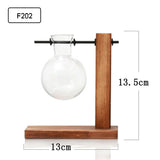 Hydroponic Glass Vase Planter Terrarium Wooden Stand - F201