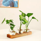 Hydroponic Glass Bulb Vase Planter Terrarium Wooden Stand  - F713