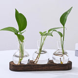 Hydroponic Glass Vase Planter Terrarium Wooden Stand F7031