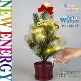 funny Water Activate Christmas Tree 