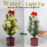 funny Water Activate Christmas Tree 