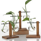 Hydroponic Glass Vase Planter Terrarium Wooden Stand - F201