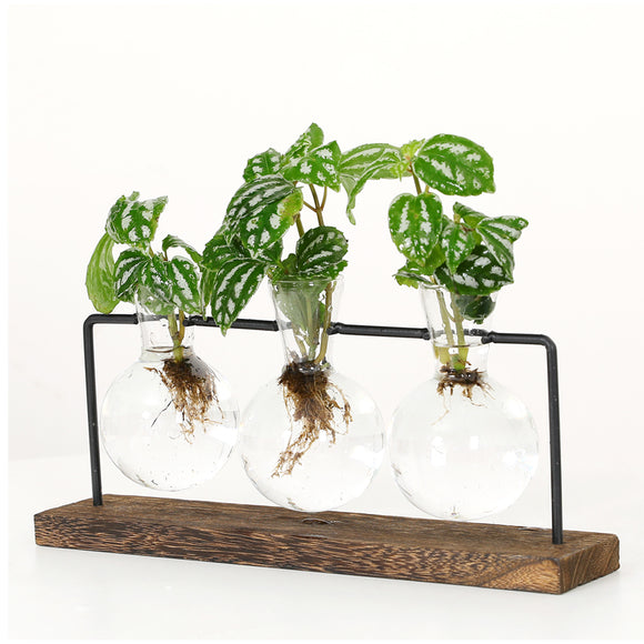 Hydroponic Glass Vase Planter Terrarium Wooden Stand-F603