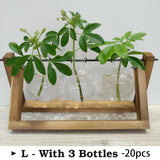Hydroponic Glass Vase Planter Terrarium Wooden Stand F001
