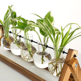 Hydroponic Glass Vase Planter Terrarium Wooden Stand-F005
