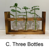 Glass Vase Hydroponics Plant Pot Wooden Stand,three bottles