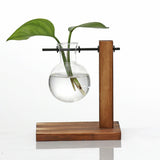 Glass Vase Hydroponic Pot Wooden Stand,one pot
