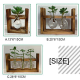 Glass Vase Hydroponics Plant Pot Wooden Stand,size