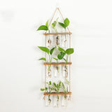 Hydroponic Glass Vase Planter Terrarium Wooden Stand-F8103