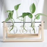 Hydroponic Glass Vase Planter Terrarium Wooden Stand - F003R
