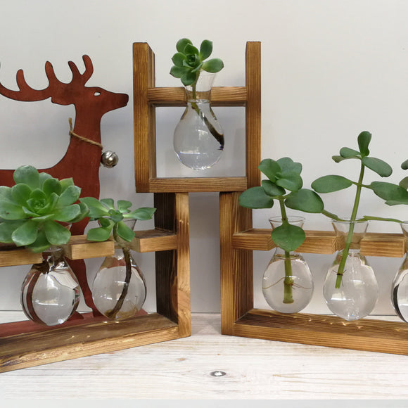 Hydroponic Glass Vase Planter Terrarium Wooden stand - F103